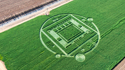 crop-circle-m