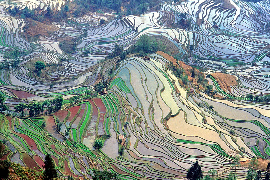drones-gpus-farmers_m
