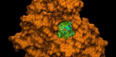 gpu-driven-drug-discovery_m
