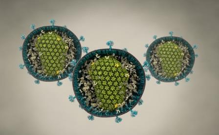 how-gpus-keep-pace-with-viruses_m