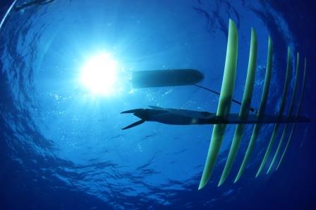 wave-glider-robot_m