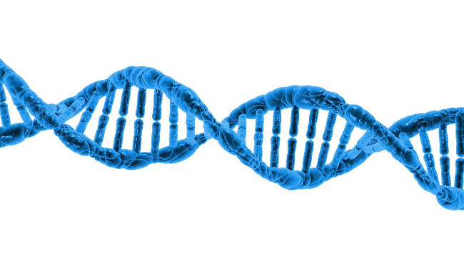 cancer-data-deep-learning_m