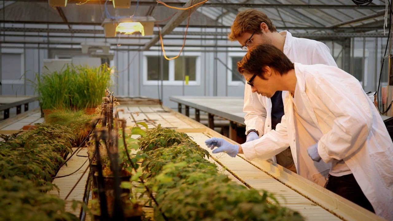 ai-fights-plant-disease_m
