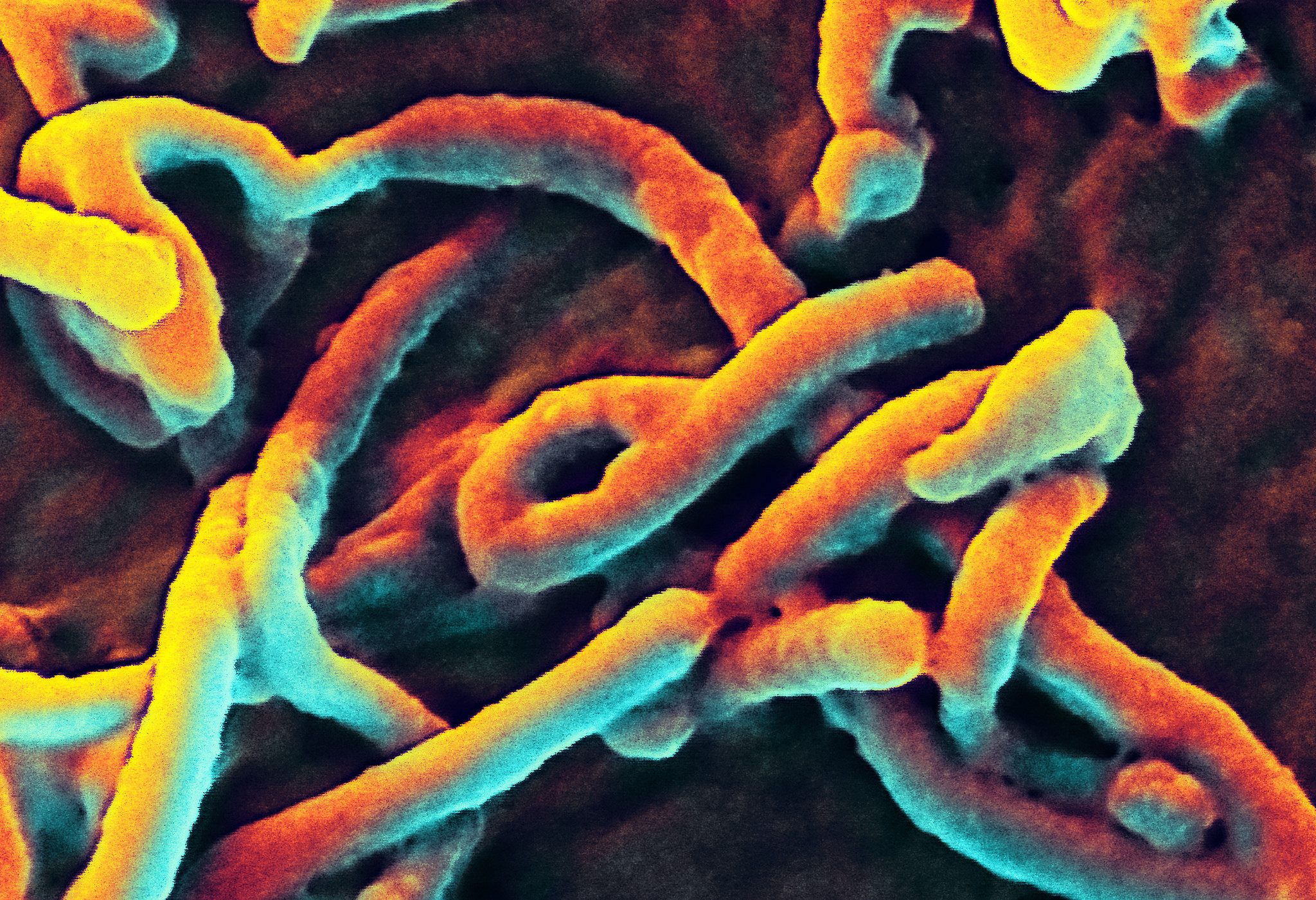 flu-virus-research_m