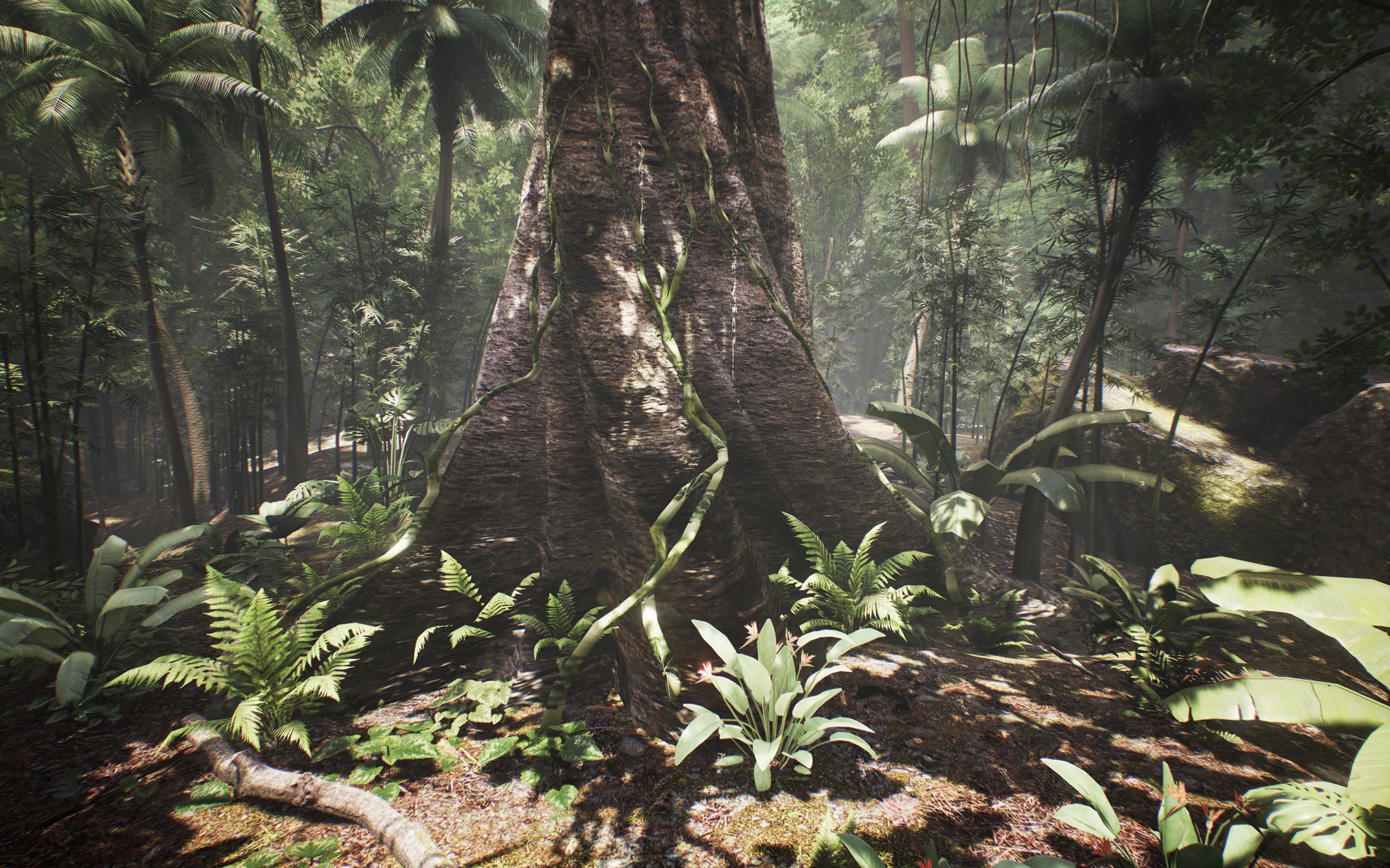 tree-vr-sundance_m