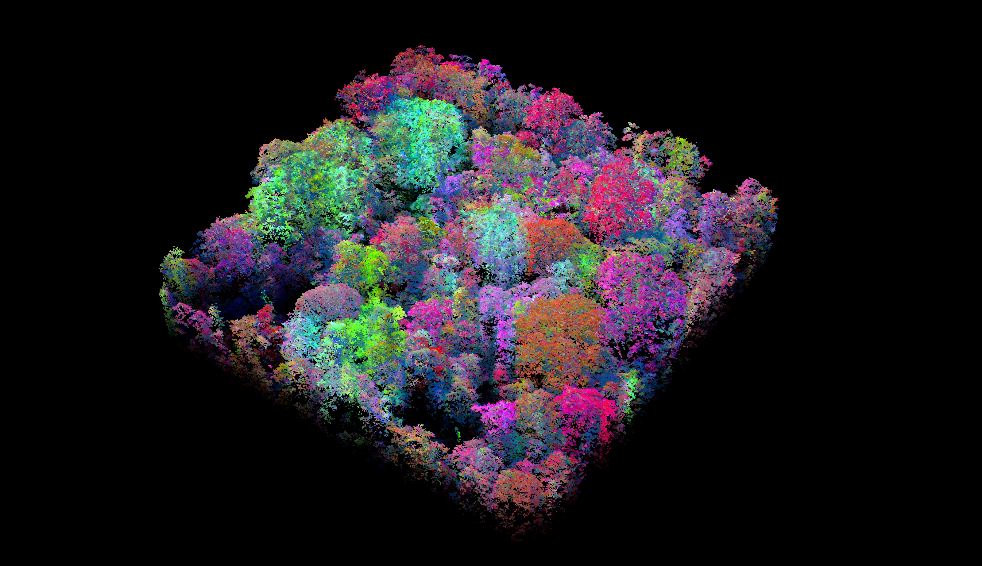 ai-rainforest-biodiversity_m