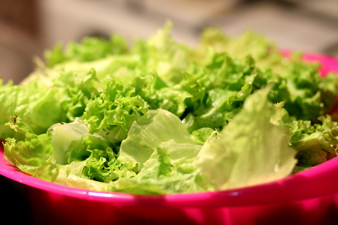lettuce-m