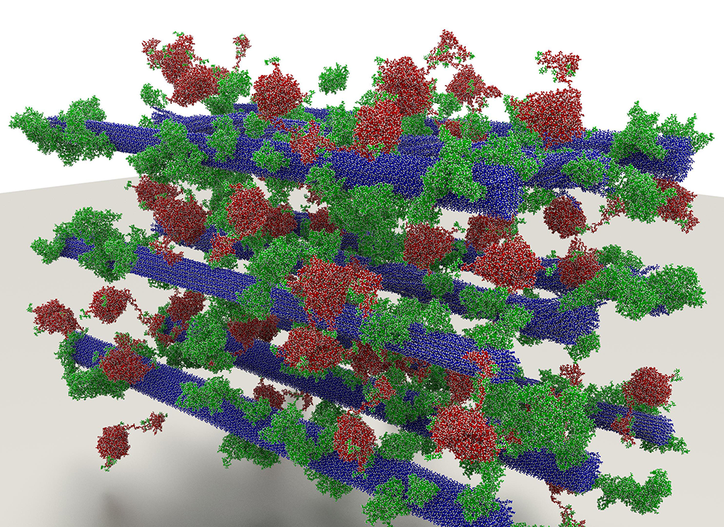 atom_biomass_model-ornl_m
