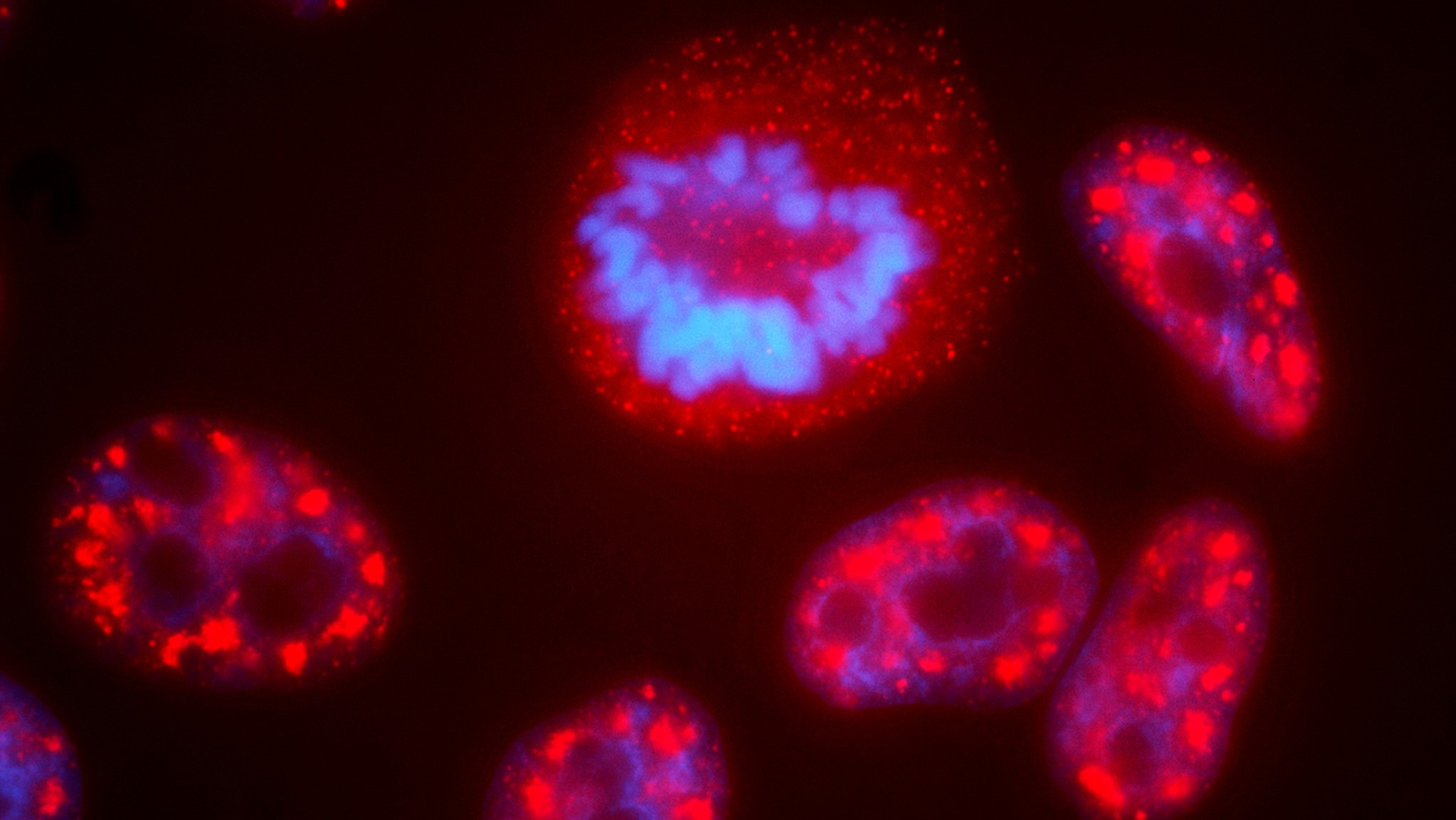 get-well-sooner-data-science-bowl-aims-to-speed-drug-discovery_m