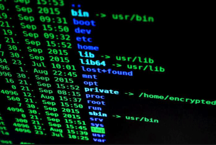 FraudWebcrop_m