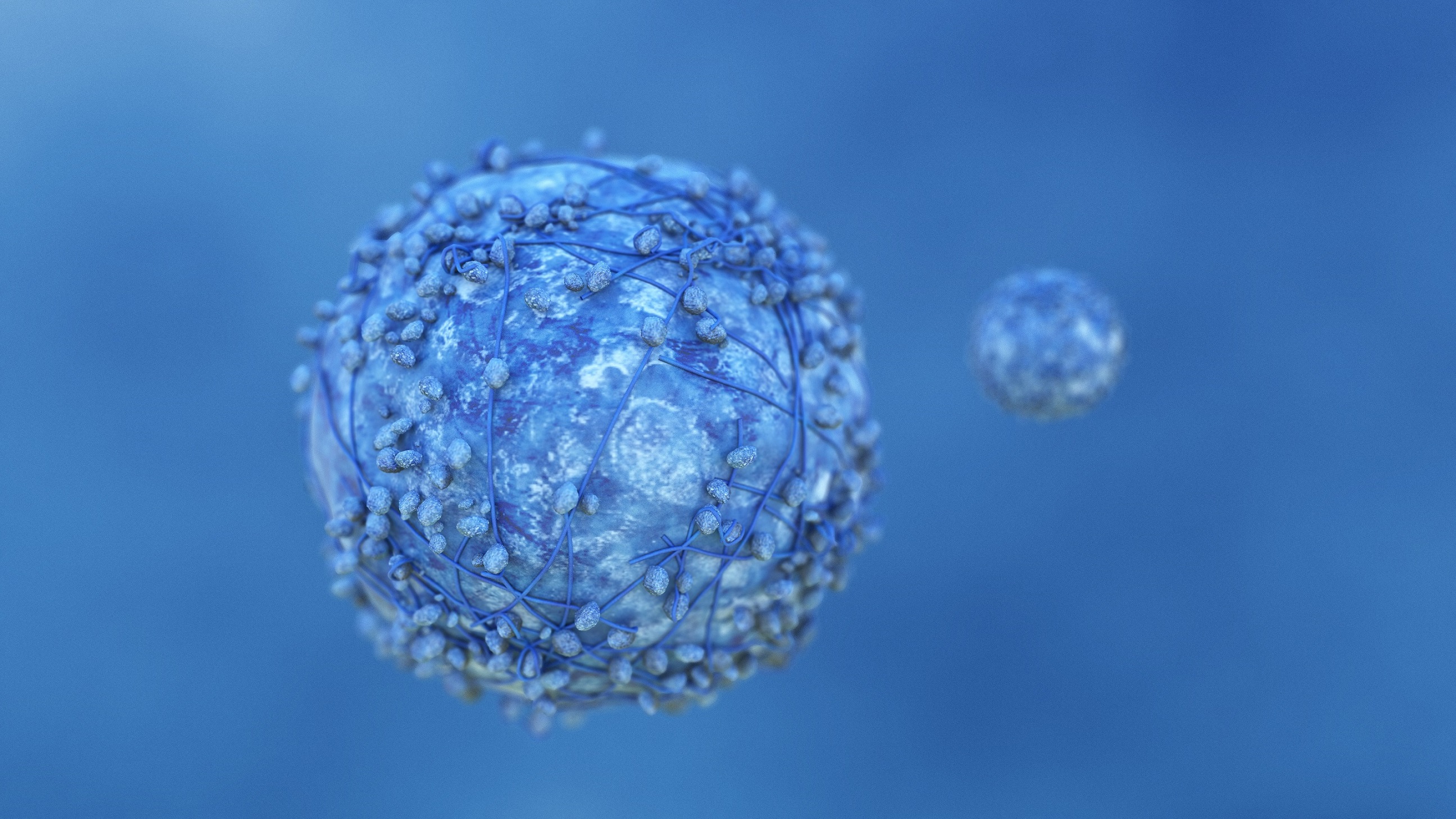 pancreatic-cancer-cell_m