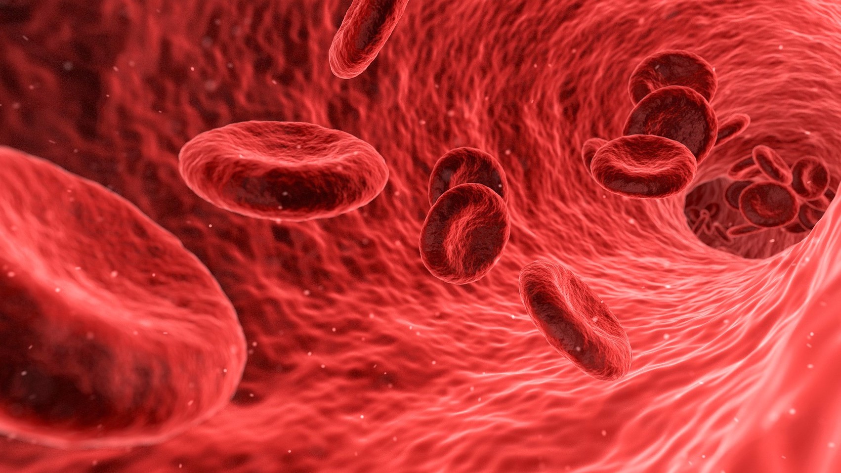 red-blood-cells-3D_m