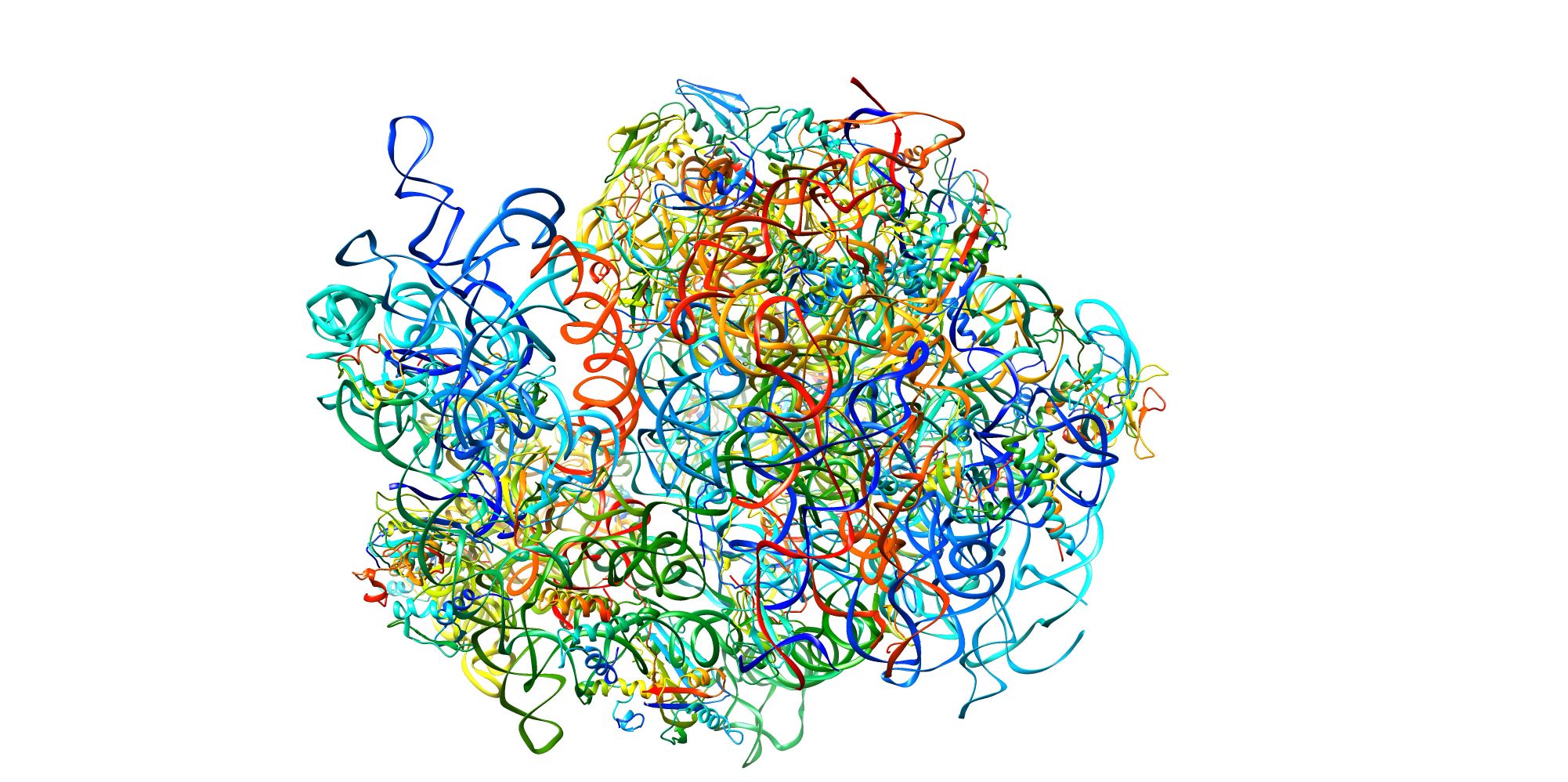 3-monash-ribosome-1280x638_m